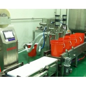 自动称重灌装线20L双喷嘴+压盖机